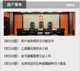 上海知名房产纠纷律师 不选你就亏大了